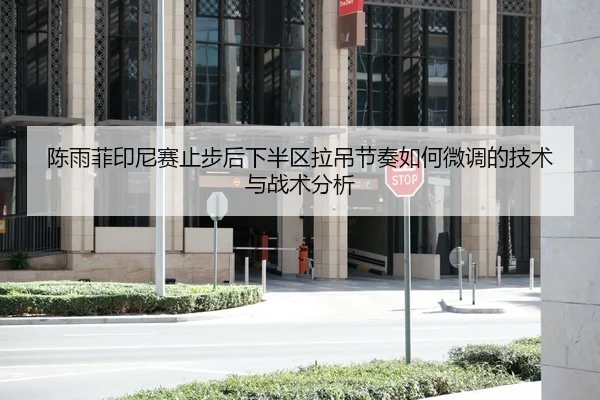 陈雨菲印尼赛止步后下半区拉吊节奏如何微调的技术与战术分析